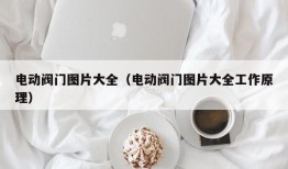 电动阀门图片大全（电动阀门图片大全工作原理）