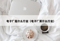 电子厂是什么行业（电子厂算什么行业）